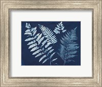 Framed Nature By The Lake - Ferns II