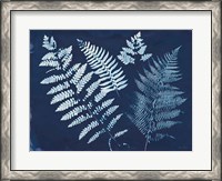 Framed Nature By The Lake - Ferns II