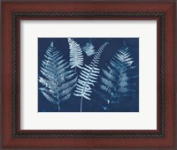 Framed Nature By The Lake - Ferns I