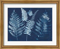 Framed Nature By The Lake - Ferns I