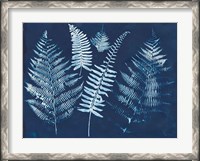 Framed Nature By The Lake - Ferns I