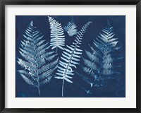 Framed Nature By The Lake - Ferns I