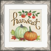 Framed 'Autumn Harvest IV Linen' border=