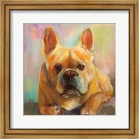 Framed Frenchie