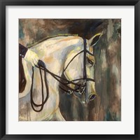 Framed Dressage