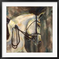 Framed Dressage