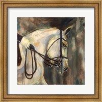 Framed Dressage