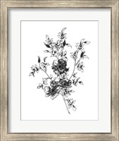 Framed Sketchbook Flowers on White II