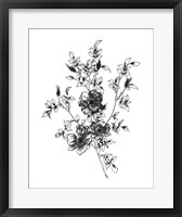 Sketchbook Flowers on White II Framed Print