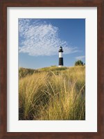 Framed Big Sable Point Lighthouse I