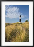 Framed Big Sable Point Lighthouse I