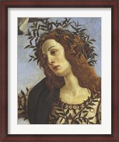 Framed Figure of Minerva (detail)