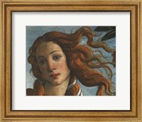 Framed Birth of Venus (Head of Venus), 1486