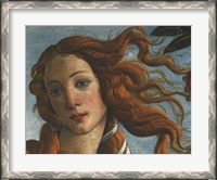 Framed Birth of Venus (Head of Venus), 1486