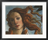 Framed Birth of Venus (Head of Venus), 1486