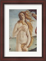 Framed Birth of Venus, Venus