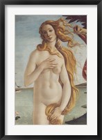 Framed Birth of Venus, Venus