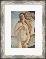 Framed Birth of Venus, Venus