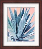 Framed Agave with Coral