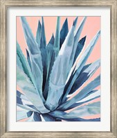Framed Agave with Coral