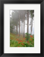 Framed Forest of The Flowers