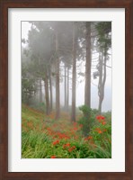Framed Forest of The Flowers