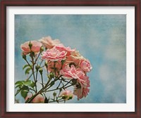 Framed Antique Roses with French Script