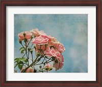 Framed Antique Roses with French Script