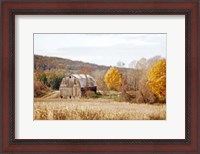 Framed Barn & Beehives