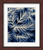 Framed Navy Blue Leaves