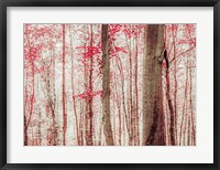 Framed Pink & Brown Fantasy Forest