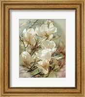 Framed Vintage Inspired Magnolias
