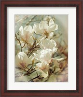 Framed Vintage Inspired Magnolias