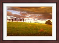 Framed Fenceline, South Dakota