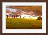 Framed Fenceline, South Dakota