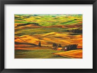 Framed Palouse #22