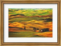 Framed Palouse #22