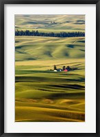 Framed Palouse #27