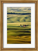 Framed Palouse #27