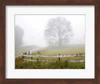 Framed Foggy Rural Scene