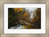 Framed Bridge in the Forest