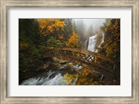 Framed Bridge in the Forest