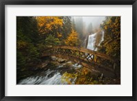 Framed Bridge in the Forest