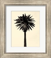 Framed Palm Tree 1979 Tan