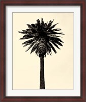 Framed Palm Tree 1979 Tan
