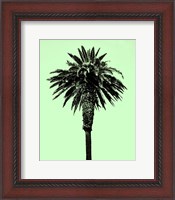Framed Palm Tree 1996 (Green)