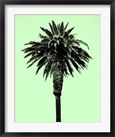 Framed Palm Tree 1996 (Green)