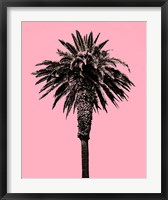 Framed Palm Tree 1996 (Pink)