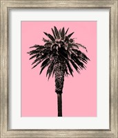 Framed Palm Tree 1996 (Pink)