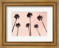 Framed Palm Trees 1997 Copper
